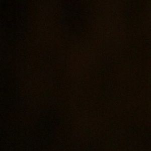 Meet your Posher, Truman